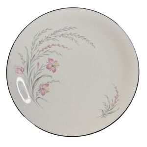 VTG Pasco Bavaria Tirschenreuth Germany Porcelain Dinner Plate 2940 Entrancing